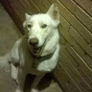 Meet your Posher, Cristian